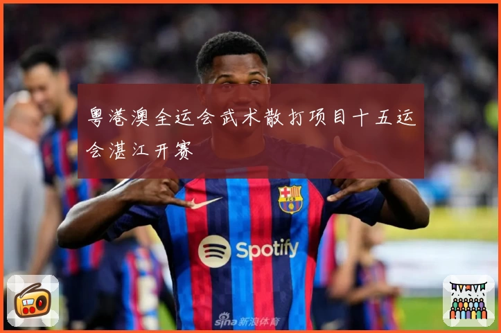 粤港澳全运会武术散打项目十五运会湛江开赛