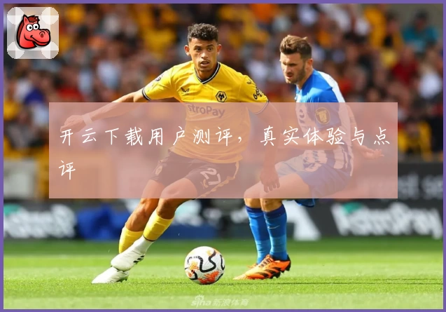 开云下载用户测评，真实体验与点评