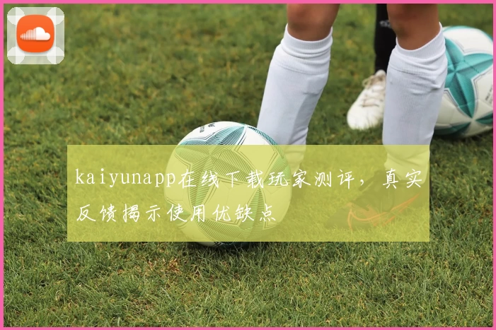 kaiyunapp在线下载玩家测评，真实反馈揭示使用优缺点